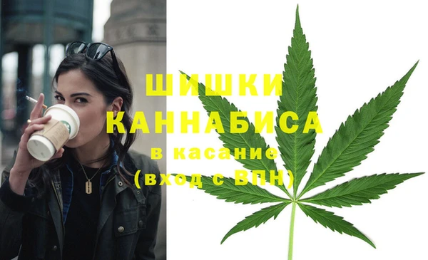 Альфа ПВП Бугульма