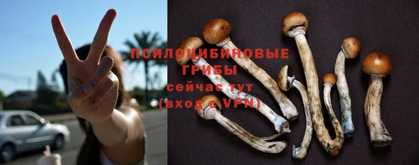 таблы Верея