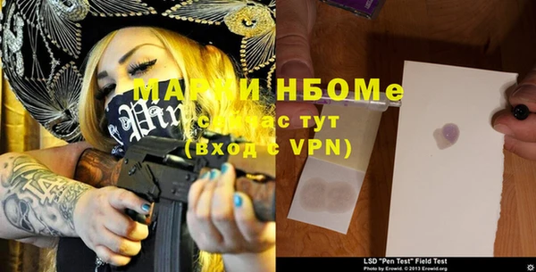 ГАЛЛЮЦИНОГЕННЫЕ ГРИБЫ Бородино