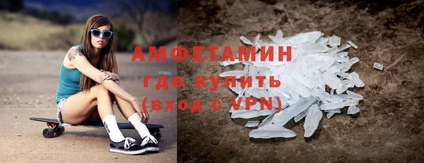 ГАЛЛЮЦИНОГЕННЫЕ ГРИБЫ Бородино