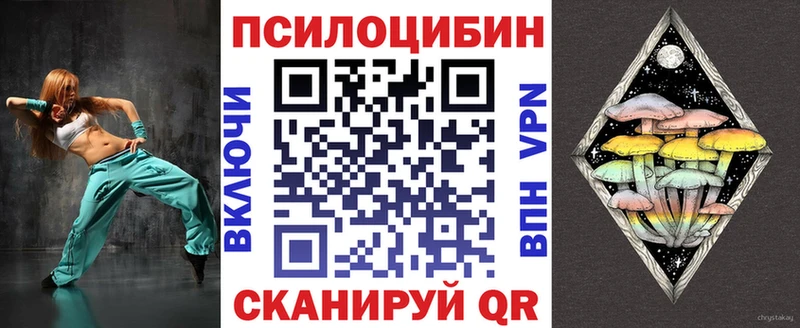 Псилоцибиновые грибы Psilocybe  купить закладку  Кирово-Чепецк 